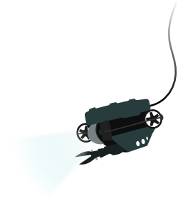 ROV