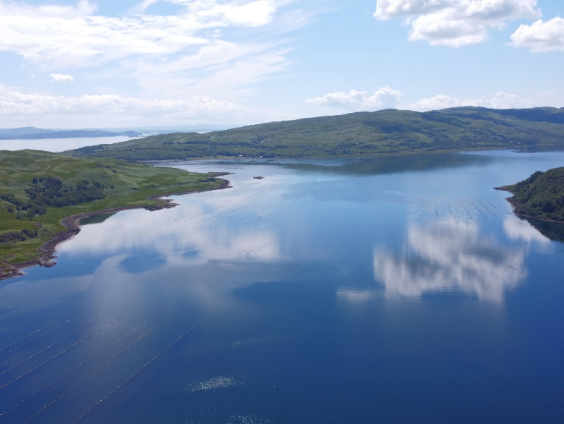 Inverlussa Mussel Farm