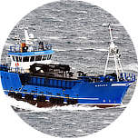 Hybrid Vessels