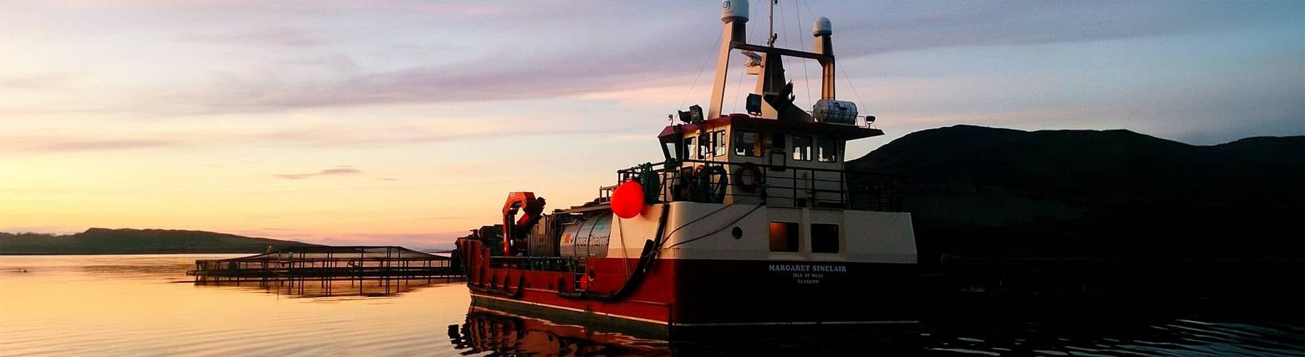 Background and History banner